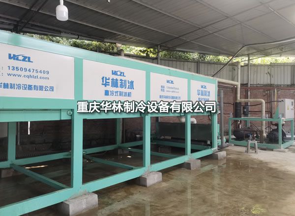 日產15T直（zhí）冷（lěng）式製冰機